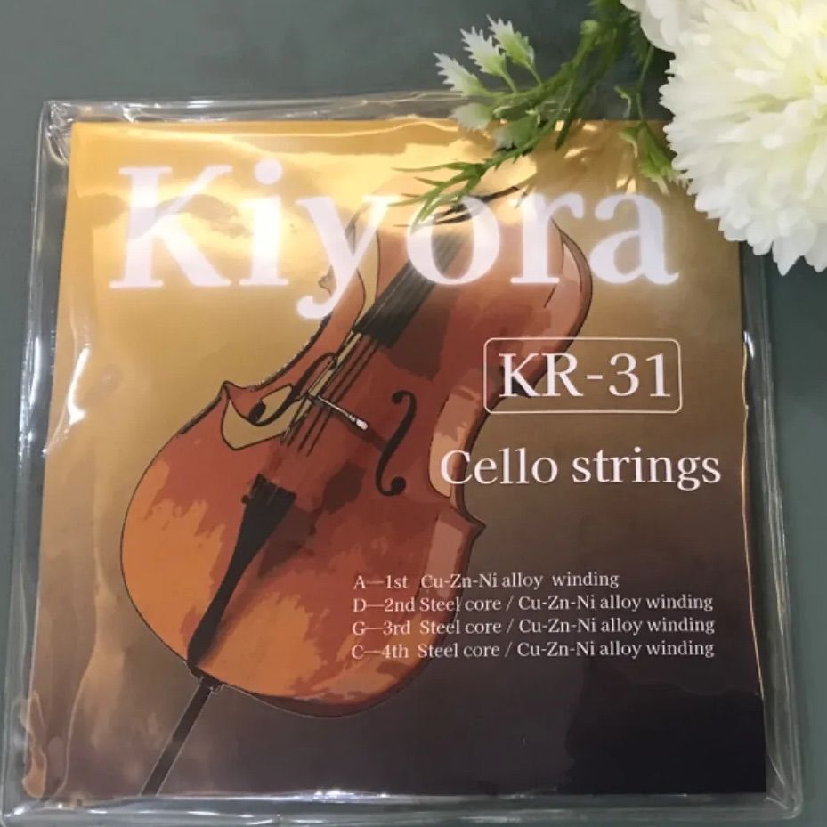 PIRASTRO ピラストロ バイオリン弦 Violino 310921 ヴィオリーノ E線 