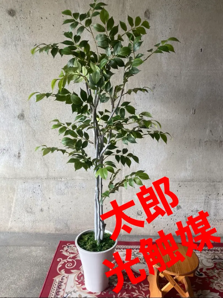 30%OFF SALE セール 光触媒 人工観葉植物 ウォールグリーン マウンテン