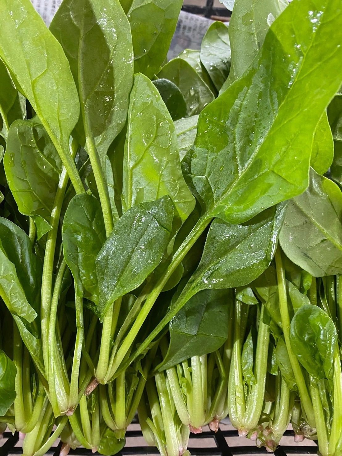 9種類‼️お買い得‼️野菜詰め合わせセット‼️１００サイズ‼️もものすけ入り‼️
