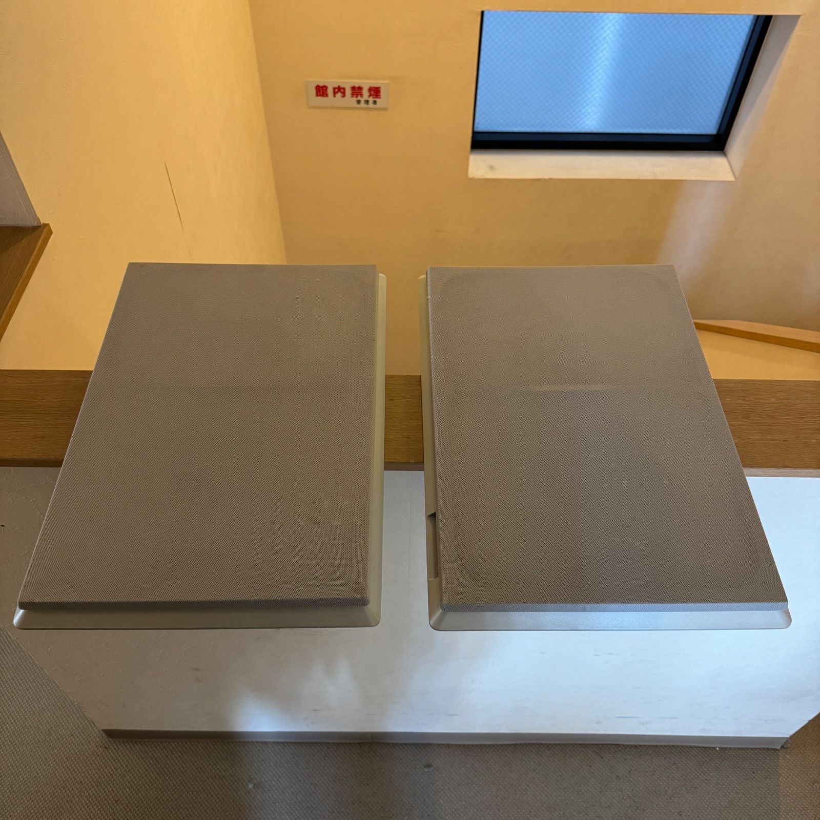 100%新品，大人気 日立 Lo-D 壁掛け型 薄型 スピーカーシステム HS-P1