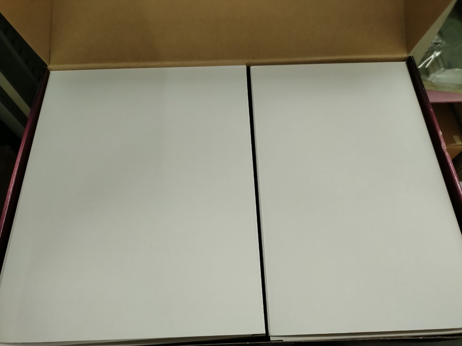 プラモデル M.S.G