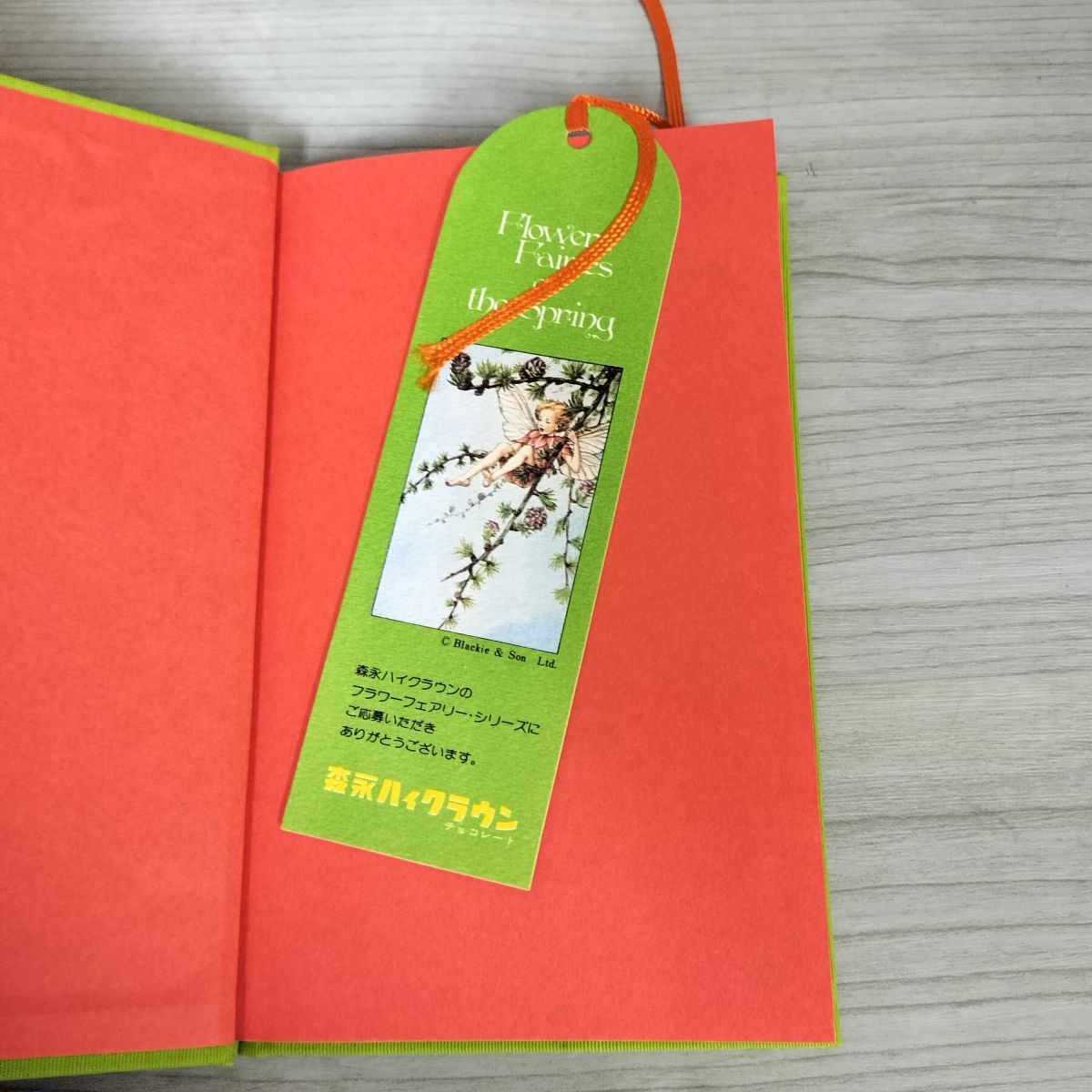 Flowerぷーページ•*¨*•.¸♬︎ 洋書 フラワーフェアリーズ フシシリー・メアリー・バー Flower
