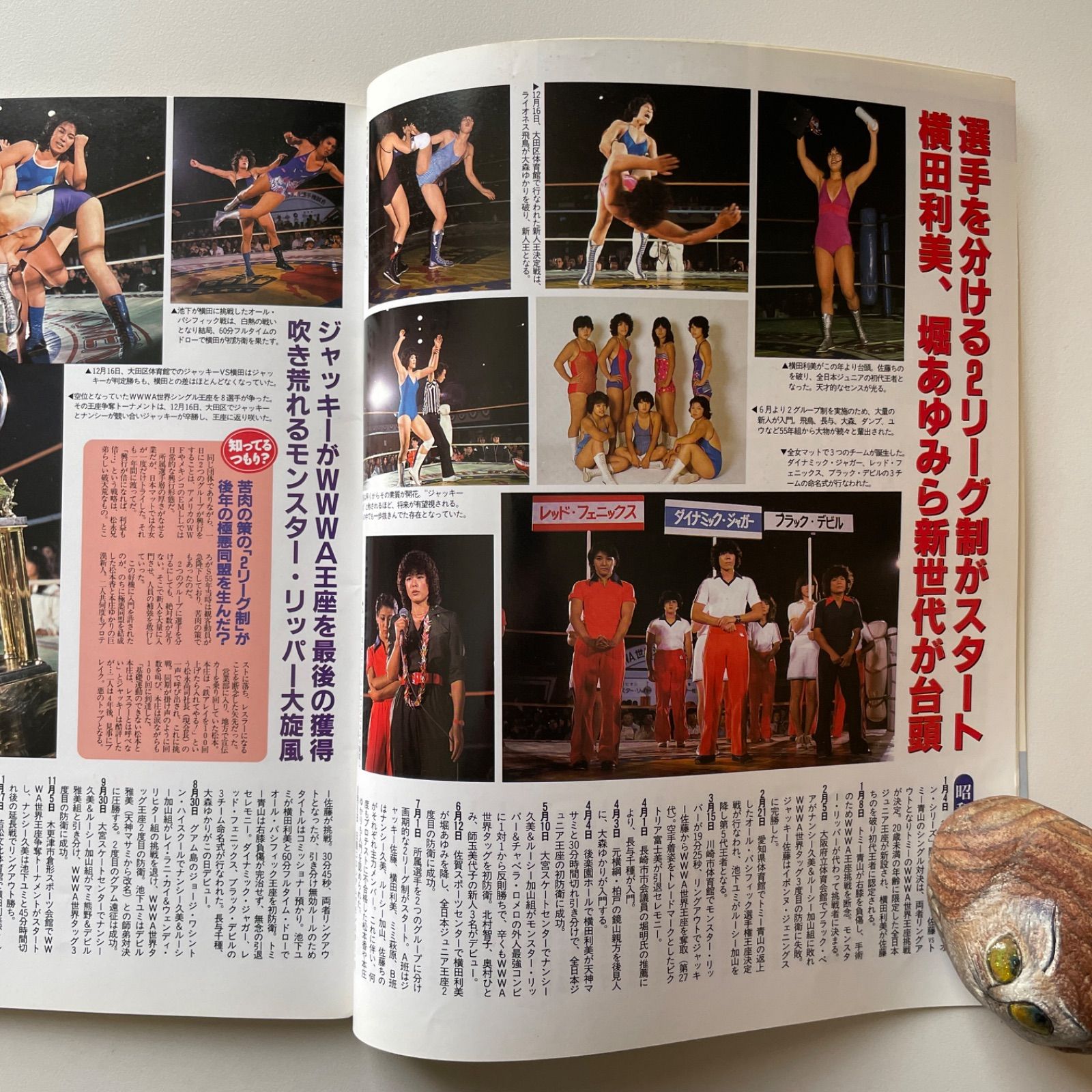 レディースゴングスペシャル 日本女子プロレス40年史 - メルカリ