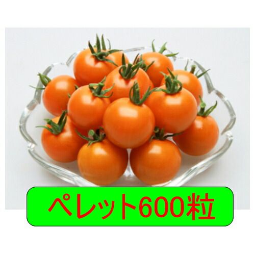 入荷次第出荷 カネコ種苗 オレンジパルフェ ペレット600粒