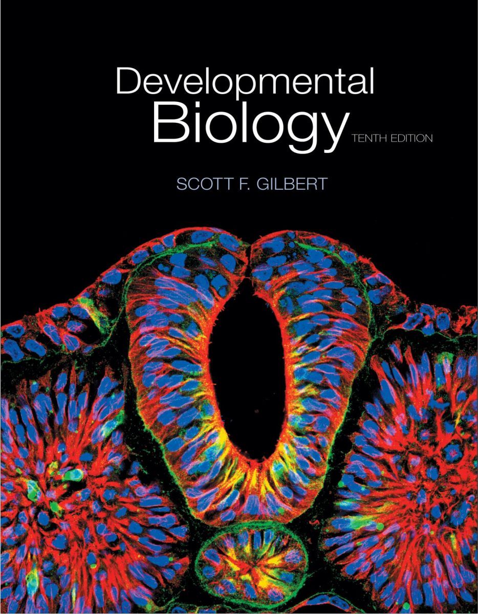 Developmental Biology - メルカリ
