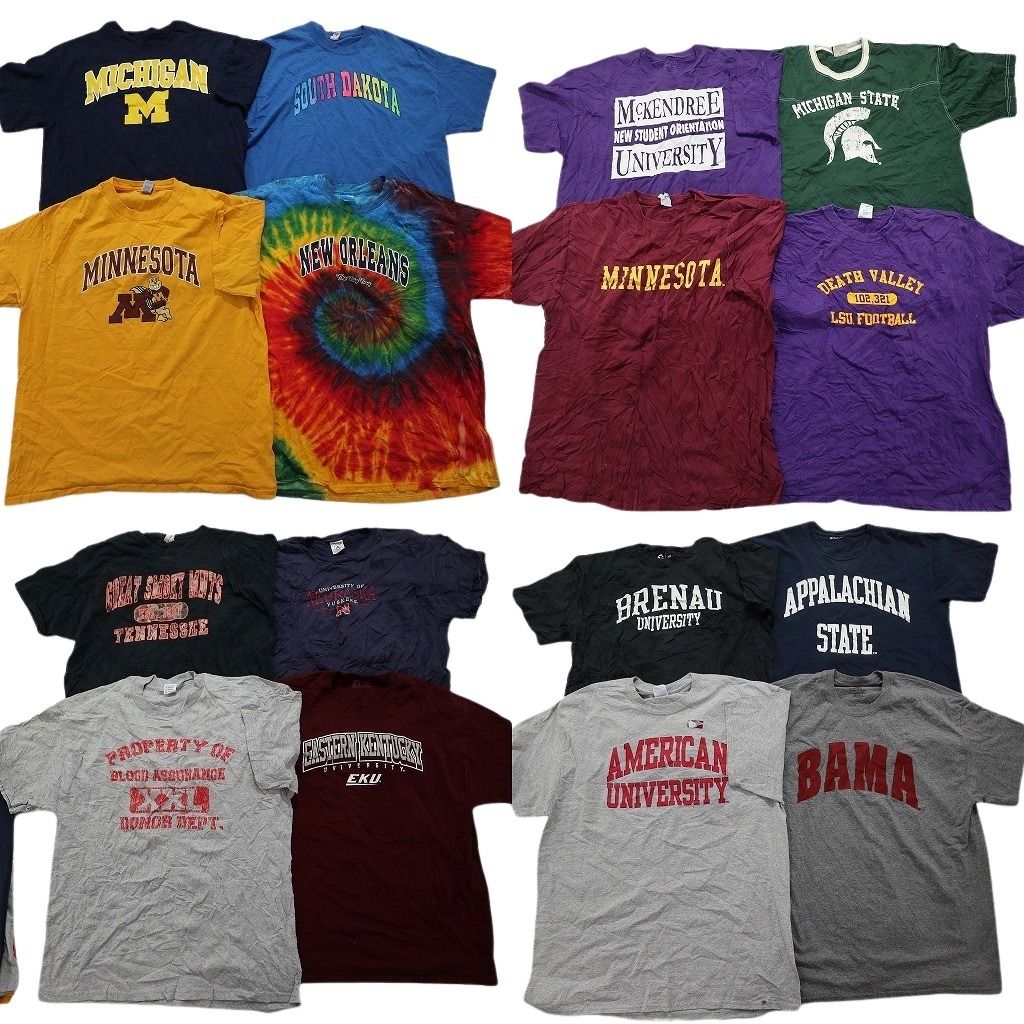 古着卸 カレッジ風 半袖Tシャツ 16枚セット メンズ XL ミシガン大学 ミネソタ大学 ニューオーリンズ大学 古着 NA2643