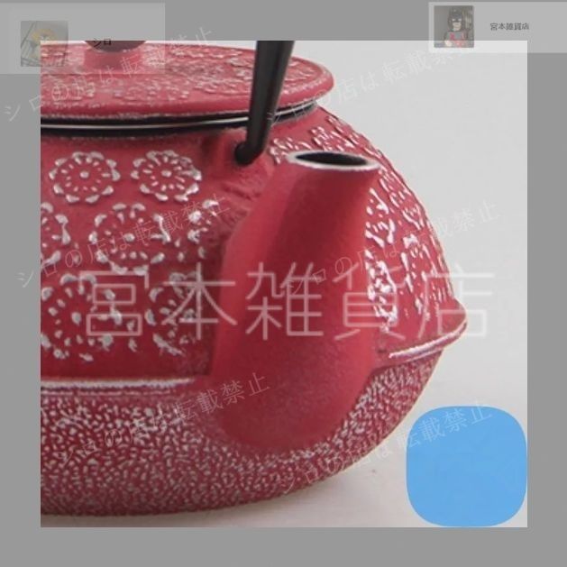 新品未使用 鉄瓶 南部鉄器 鉄瓶兼用急須 鋳物 600ml 茶こし付き