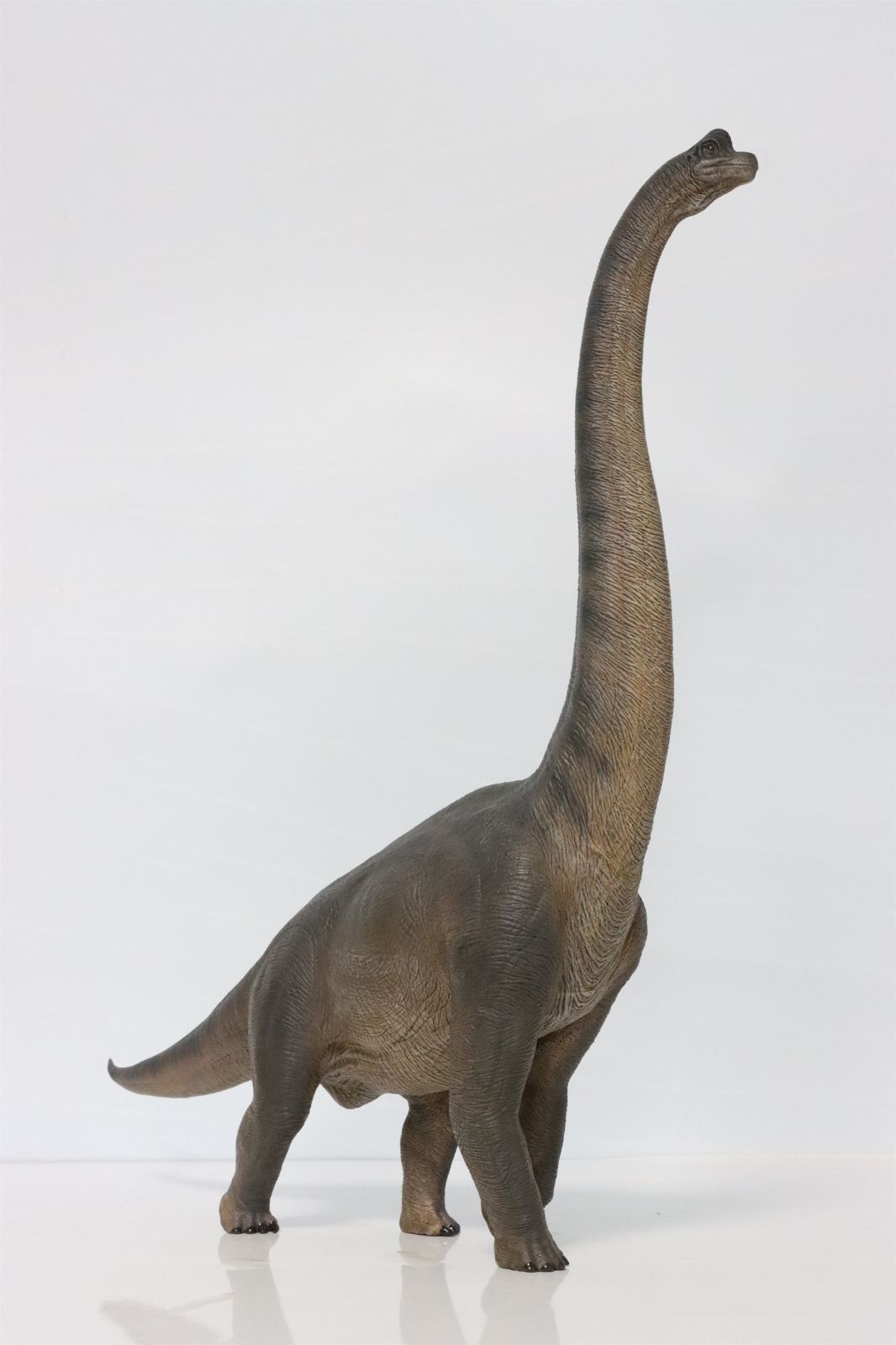 ヴァンドーム青山 ダイヤモンドカローラネックレス　0.10ct Nanmu 本心楠改 ブラキオサウルス 恐竜 模型 フィギュア オブジェ 異色