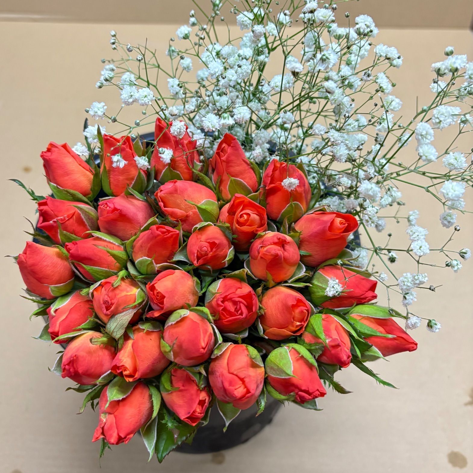 木村真一郎先生 直筆サイン色紙 キャラアニ 2周年 応募懸賞当選品 オファー