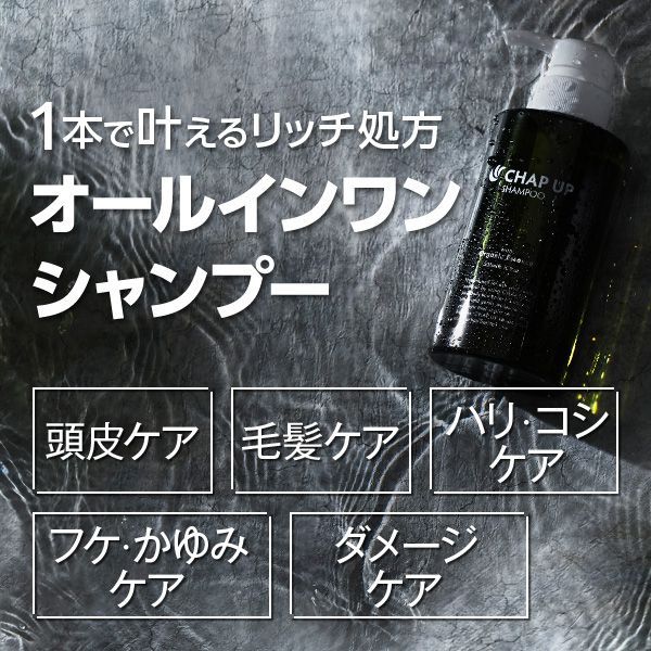 チャップアップシャンプー02 4個 チャップアップシャンプー｜公式購入
