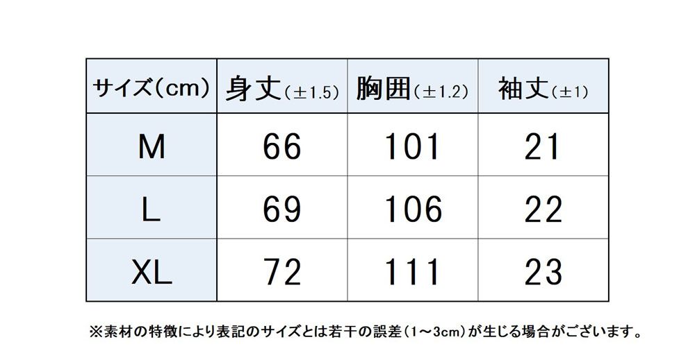 テニス ゲームシャツ