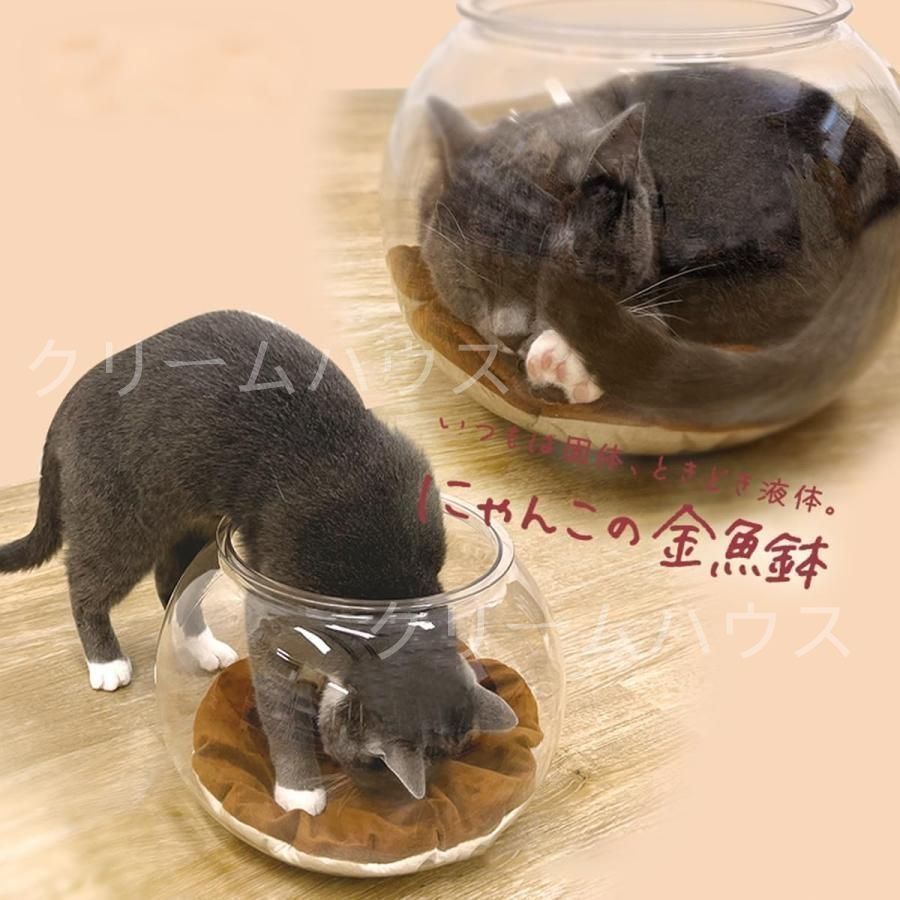 キャティーマン にゃんこの金魚鉢 猫 にゃんこの金魚鉢 猫 猫