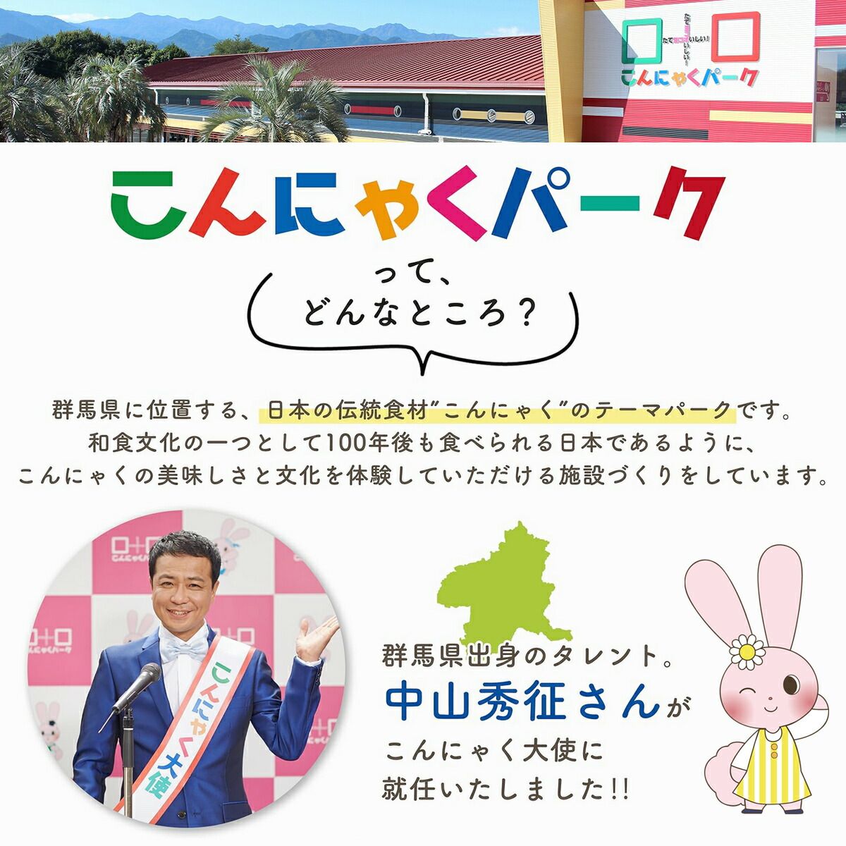 蒟蒻 唐揚げこんにゃく
