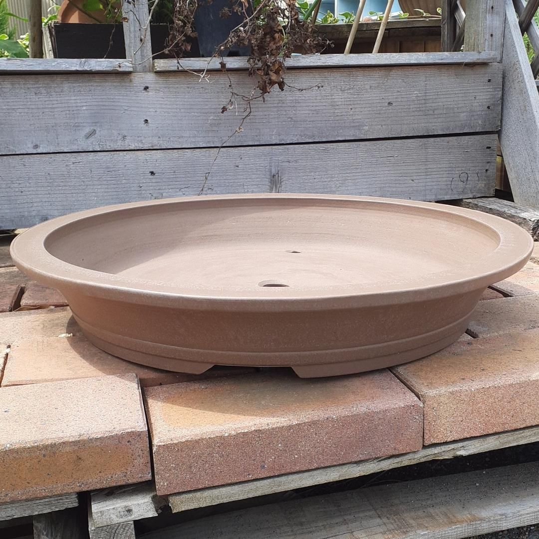 一陶園 大型盆栽 常滑焼 【公式通販】