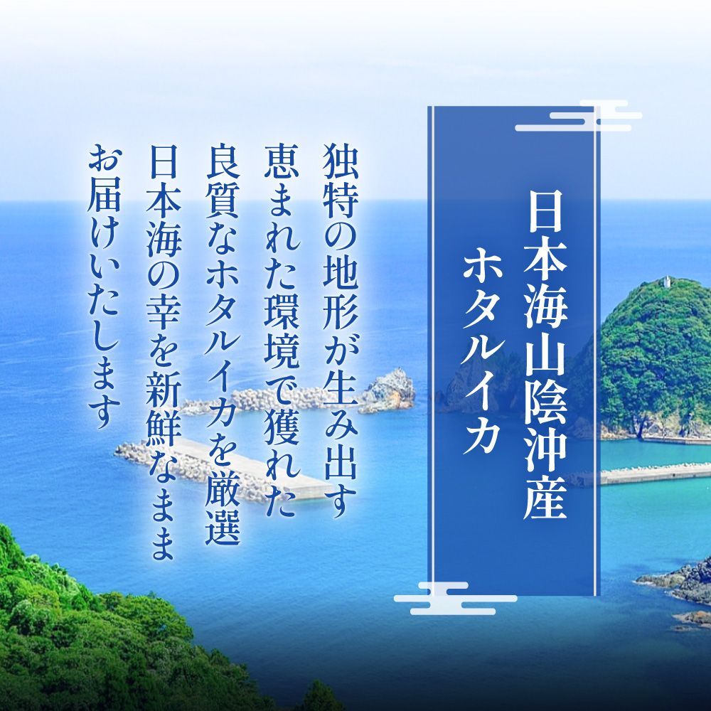 特【送料無料】山陰沖産 無添加 ホタルイカ 素干し 100g  ( 国産 ホタルイカ ほたるいか するめ スルメ 訳あり おつまみ )