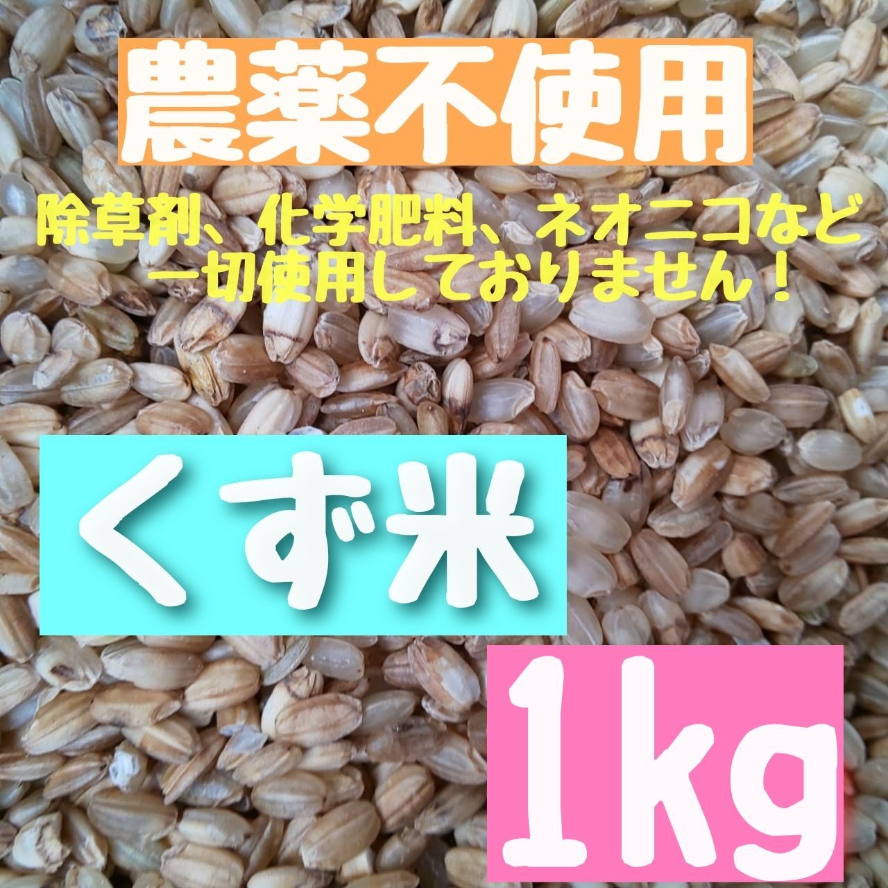 綺麗な大粒揃い】農薬不使用 化学肥料不使用 ヒノヒカリ 玄米