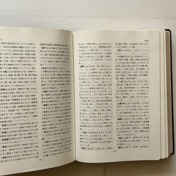 漢方用語大辞典 創医会学術部 編 燎原 1984年 ☆東洋医学 B22yn 【公式