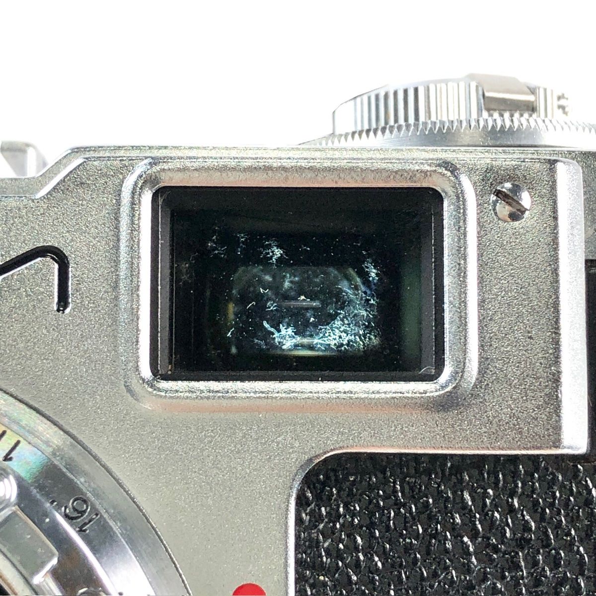 ボディ フィルム