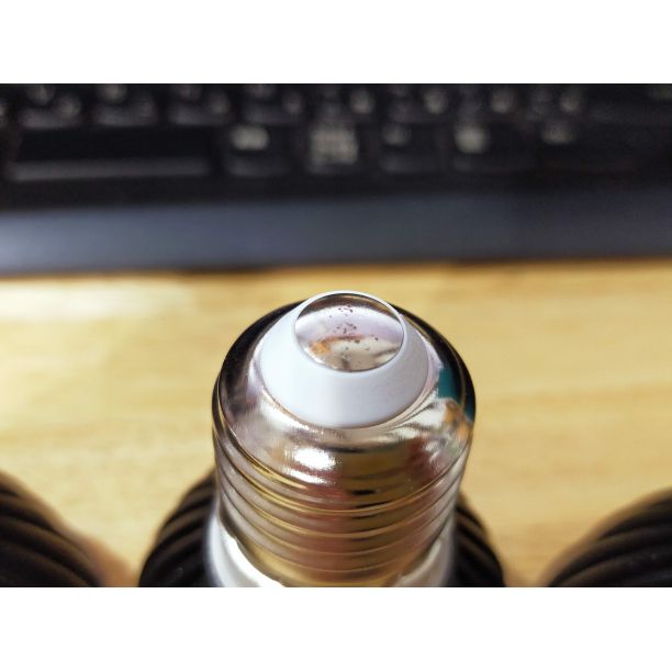 新品アウトレット 植物育成ライト 10W 5800K 5個 黒色 新品アウトレット 植物育成ライト 10W 5800K 5個 黒色