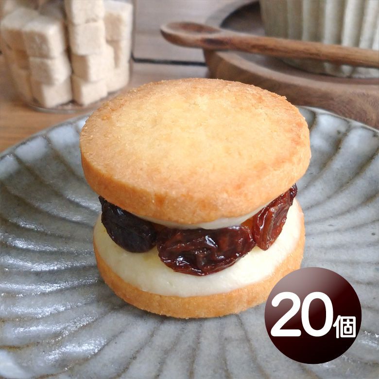 くらしの中の京阪 1997.2〜2000.2 +京津線写真集 + グラフ京阪2部