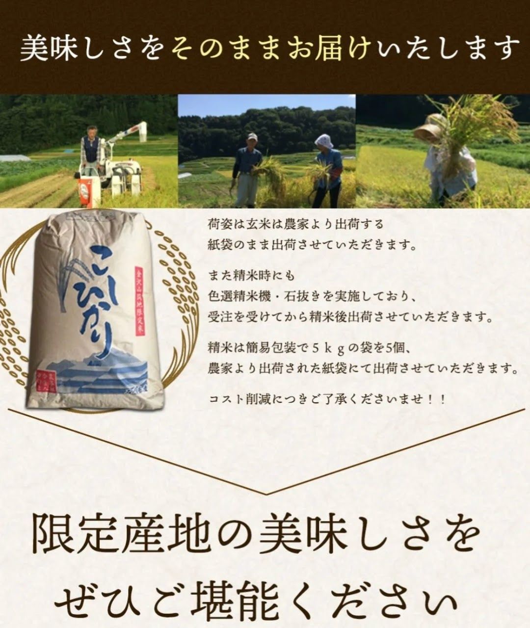 売上ランキング 【農家直送】石川県産 令和4年9月収穫 新米 こしひかり