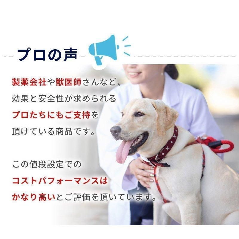 犬 猫