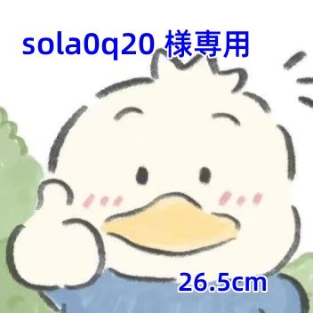 sola0q20 