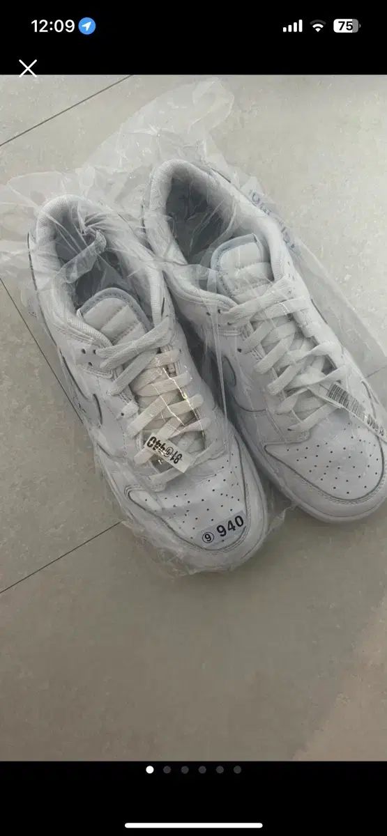 【雷市場（ポンジャン）商品韓国直送】 NIKE(ナイキ) ダンク 270