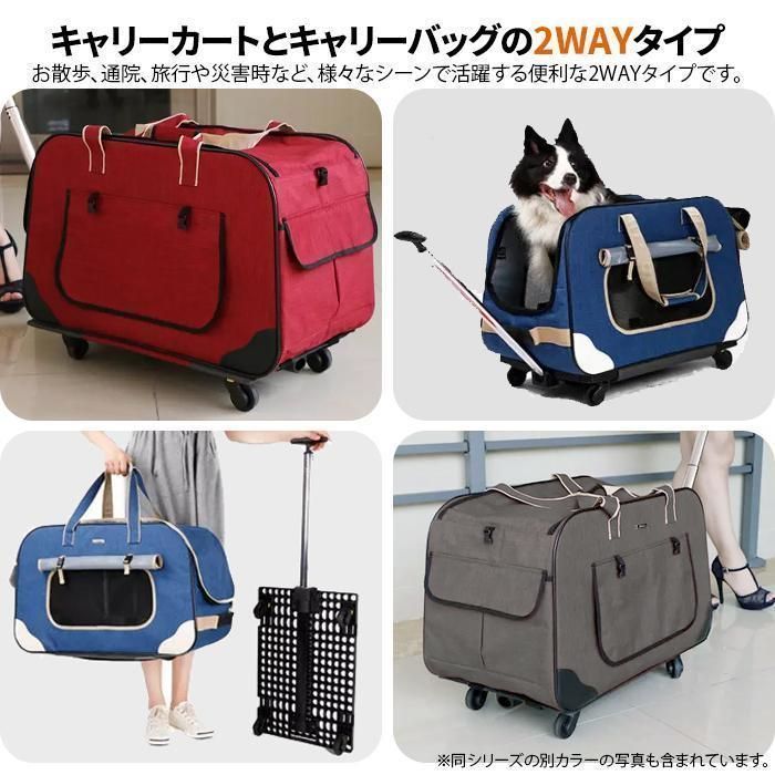中型犬