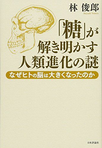 「糖」が解き明かす人類進化の謎 なぜヒトの脳は大きくなったのか／林 俊郎