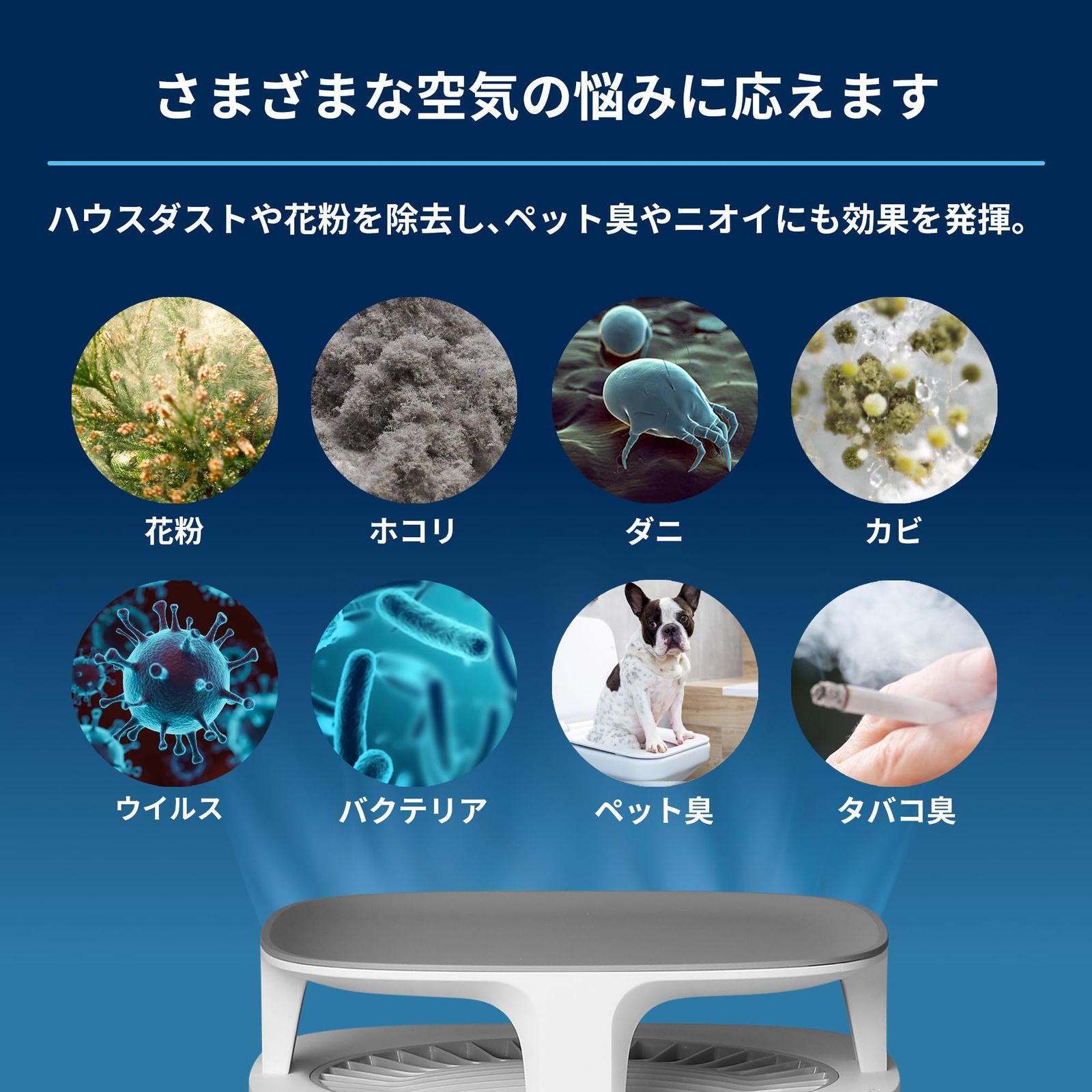 ブルーエア 空気清浄機 18畳 寝室 ダストマグネット 5240i 花粉 ホコリ 集塵力 節電 ペット 抜け毛 上下吸引 脱臭 リビング ハウスダスト ウイルス 換気 簡単お手入れ アプリ操作 スウェーデン 北欧デザイン グレー WWW_KANDAIZUMI_COM