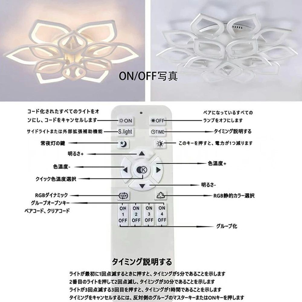 12畳 照明