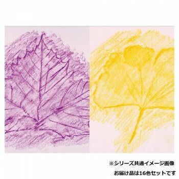  ぺんてる ずこうクレヨン クリアラベル PTCGP 1 16 入 その他 画用紙 画材紙 工作紙