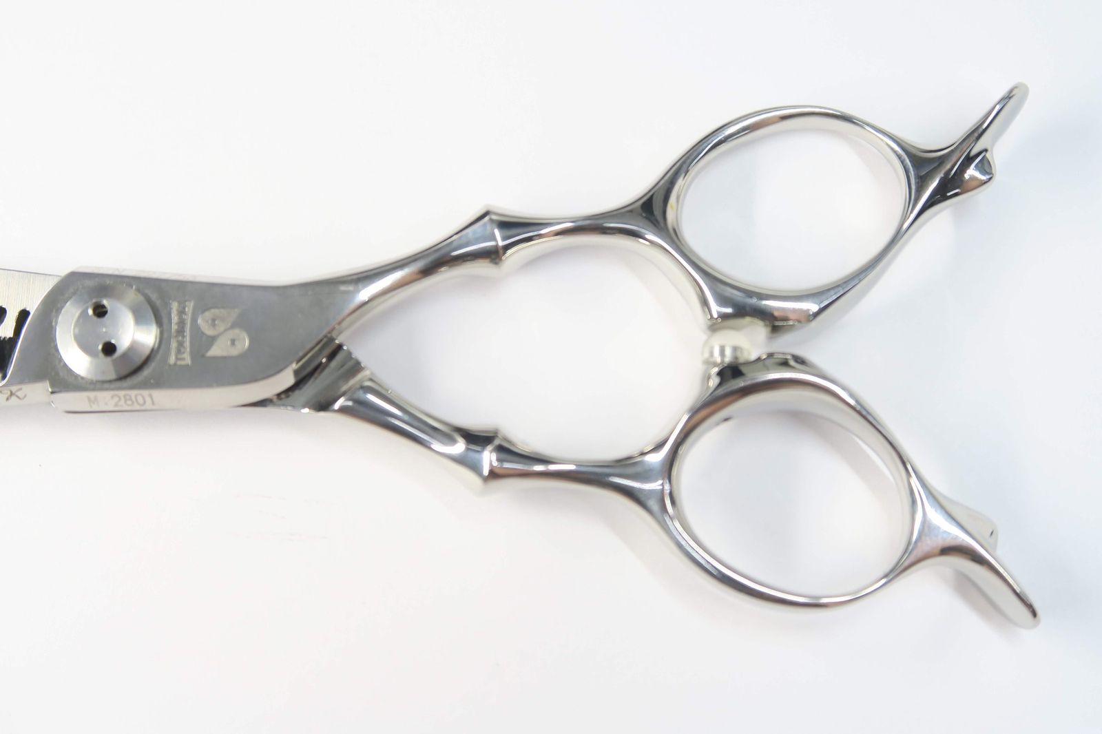 トギノン ダイナザウルス スキ率70% トギノン ダイナザウルス スキ率70