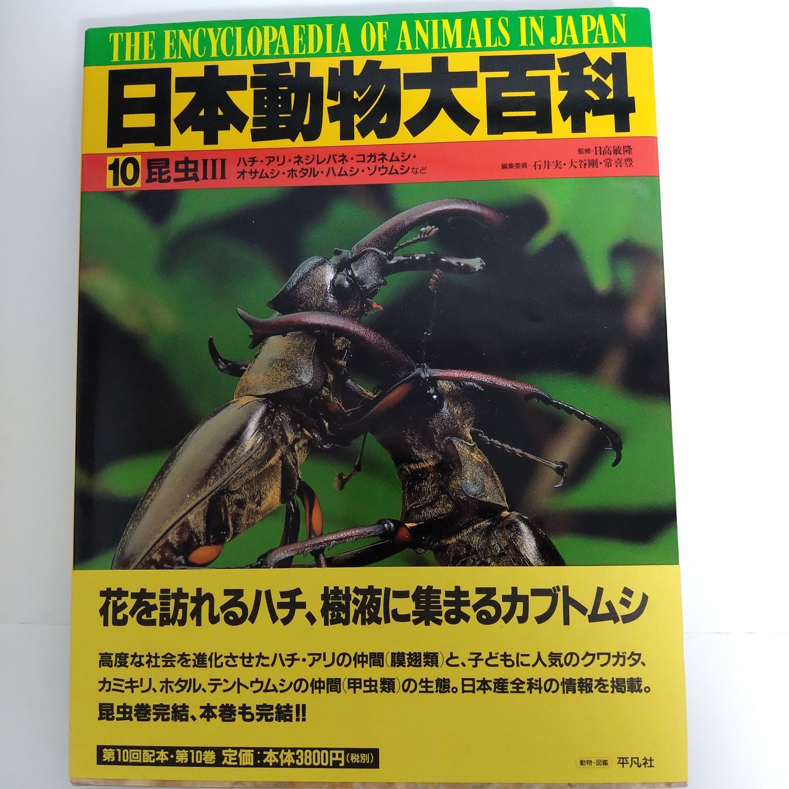 日本動物大百科 全11巻セット 平凡社 - メルカリ