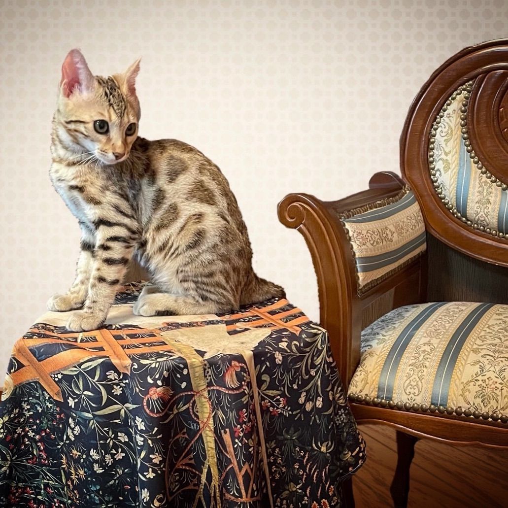 一角獣狩り マルチクロス 囚われの一角獣 - メルカリ