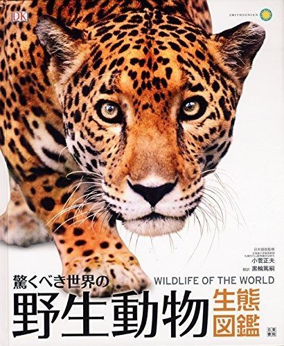 【豊富な，定番人気】 驚くべき世界の野生動物生態図鑑 その他