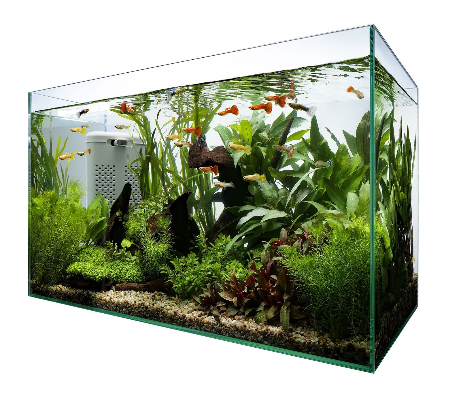 テトラ (Tetra) ガラス テトラ サイレントフレックスセット 60