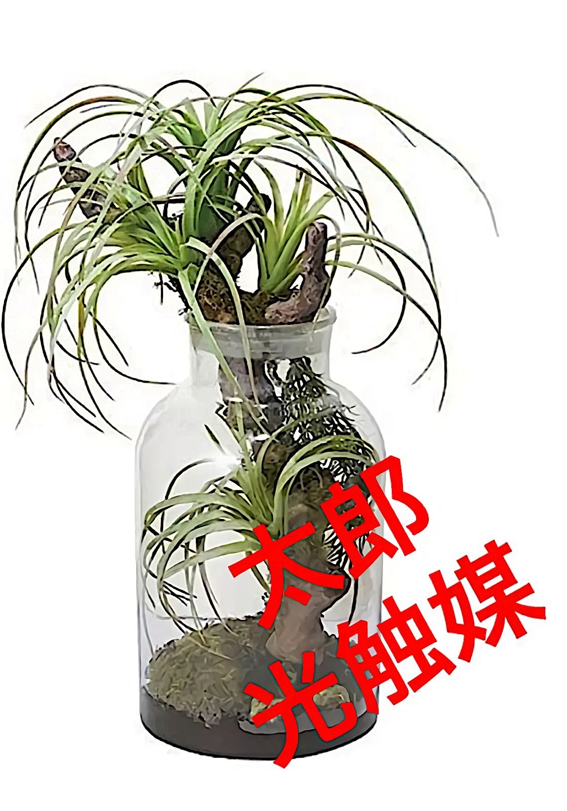 光触媒 人工観葉植物 ウォールグリーン フェイク フラワー ボタニカル