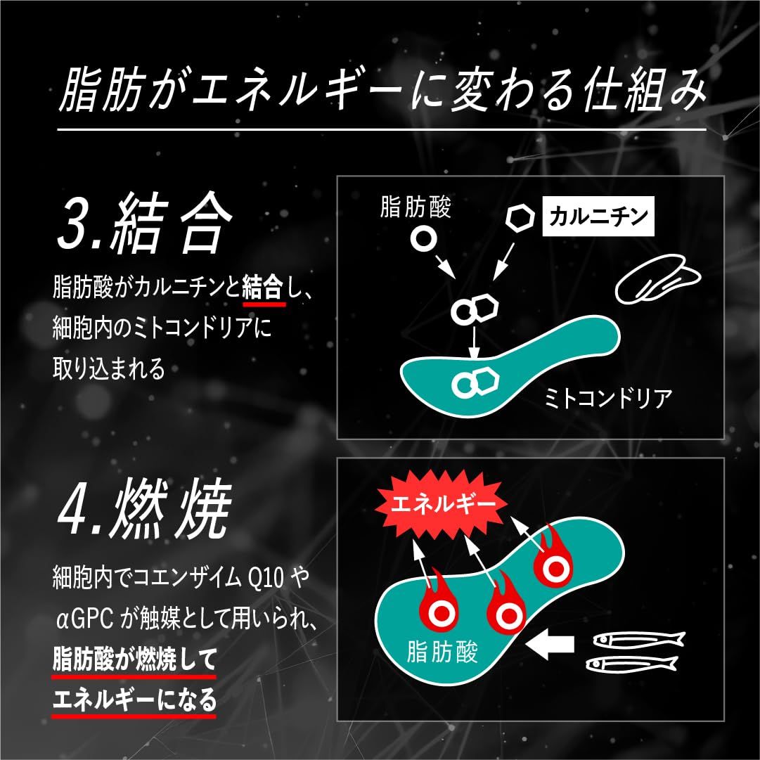 30日分
