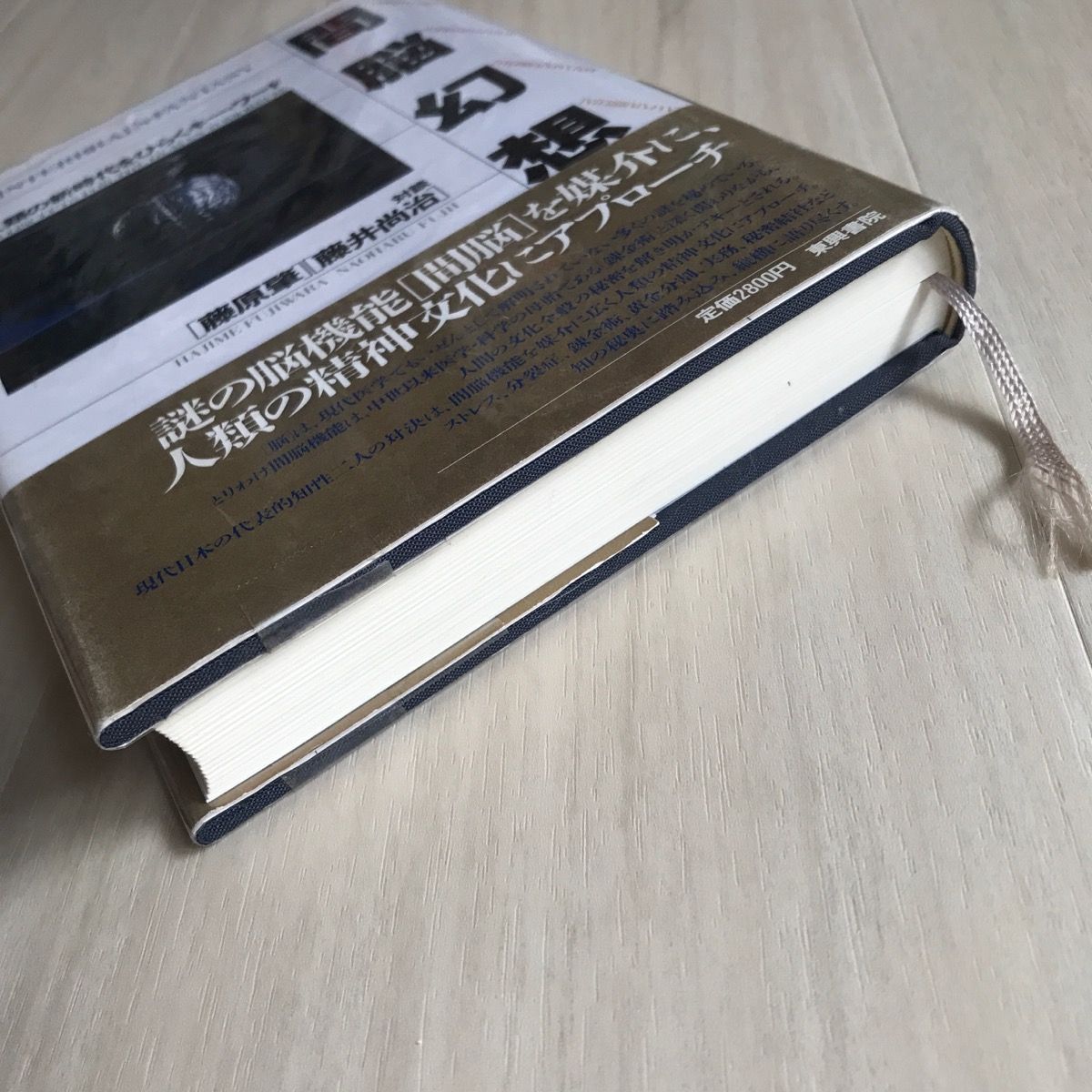 間脳幻想 人類の新時代をひらくキーワード 藤原肇・藤井尚治 東興書院 -