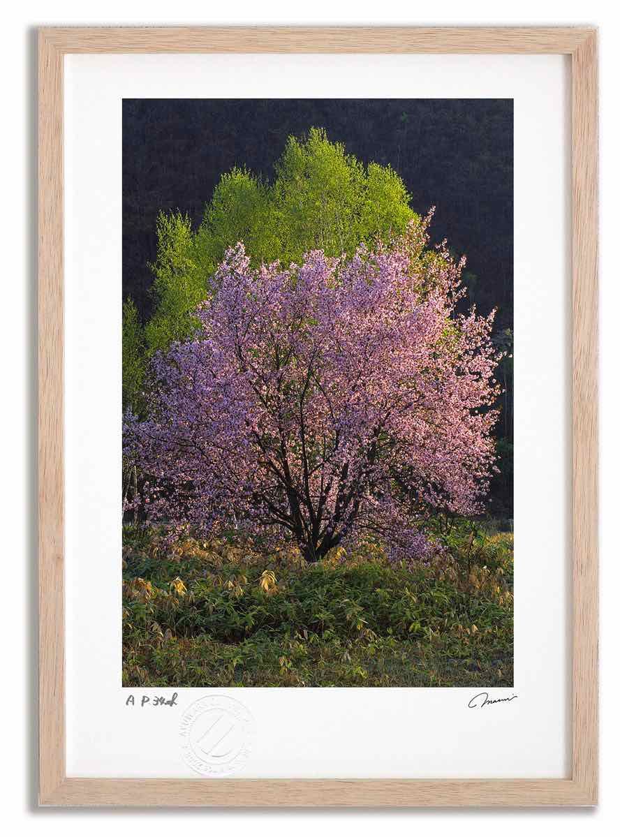 2025年最新】アミューズギャラリーの人気アイテム - メルカリ 百*子様