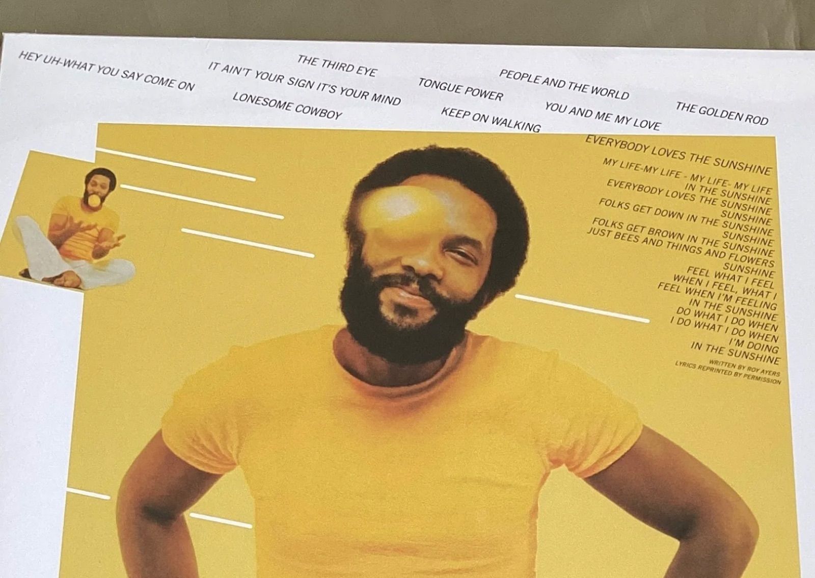 新品未使用品 Roy Ayers Everybody Loves the Sunshine アナログ