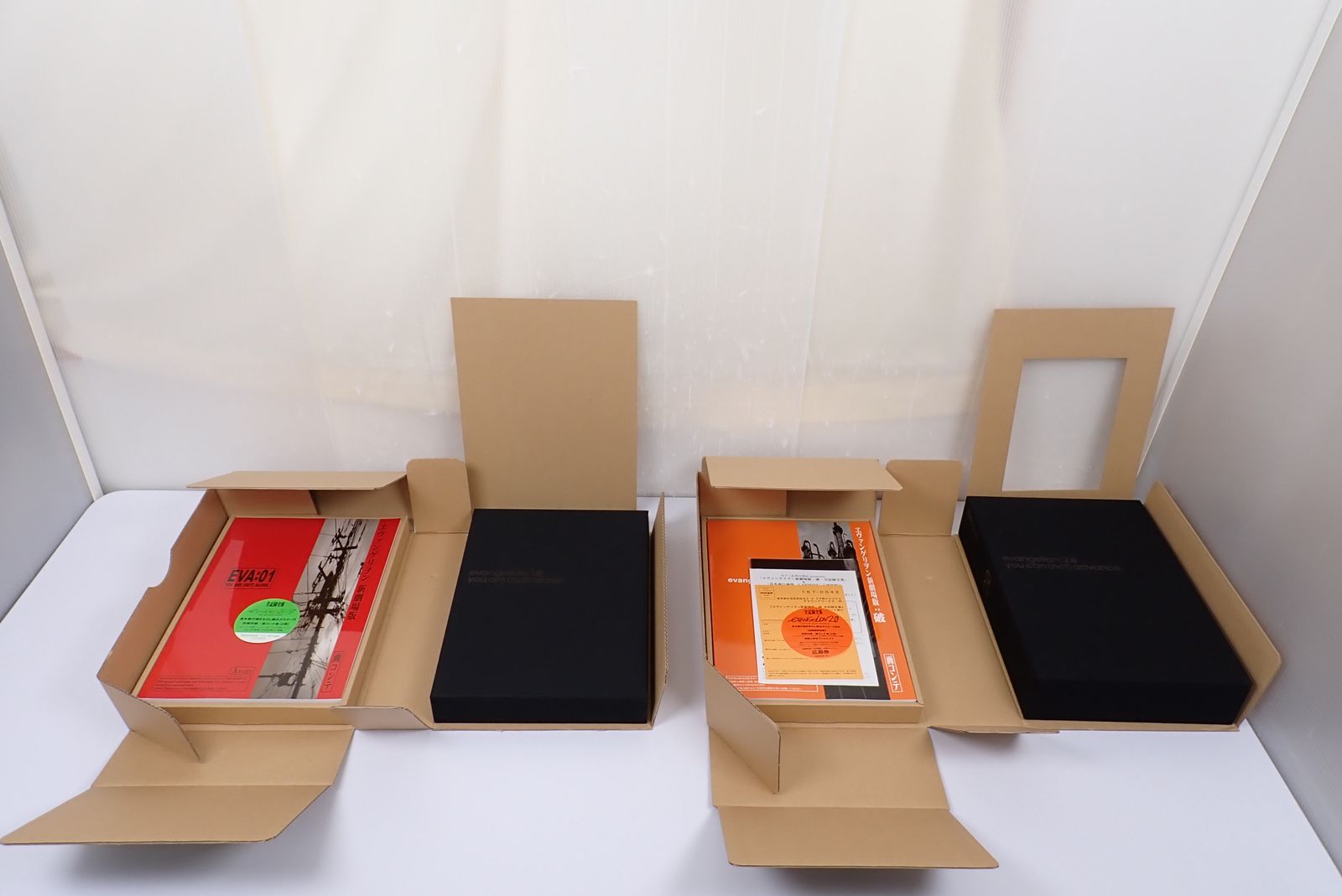 限定　エヴァンゲリオン　新劇場版：序＆破　全記録集2巻セット　フィルム付き ヱヴァンゲリヲン新劇場版：破 全記録全集 設定 資料版