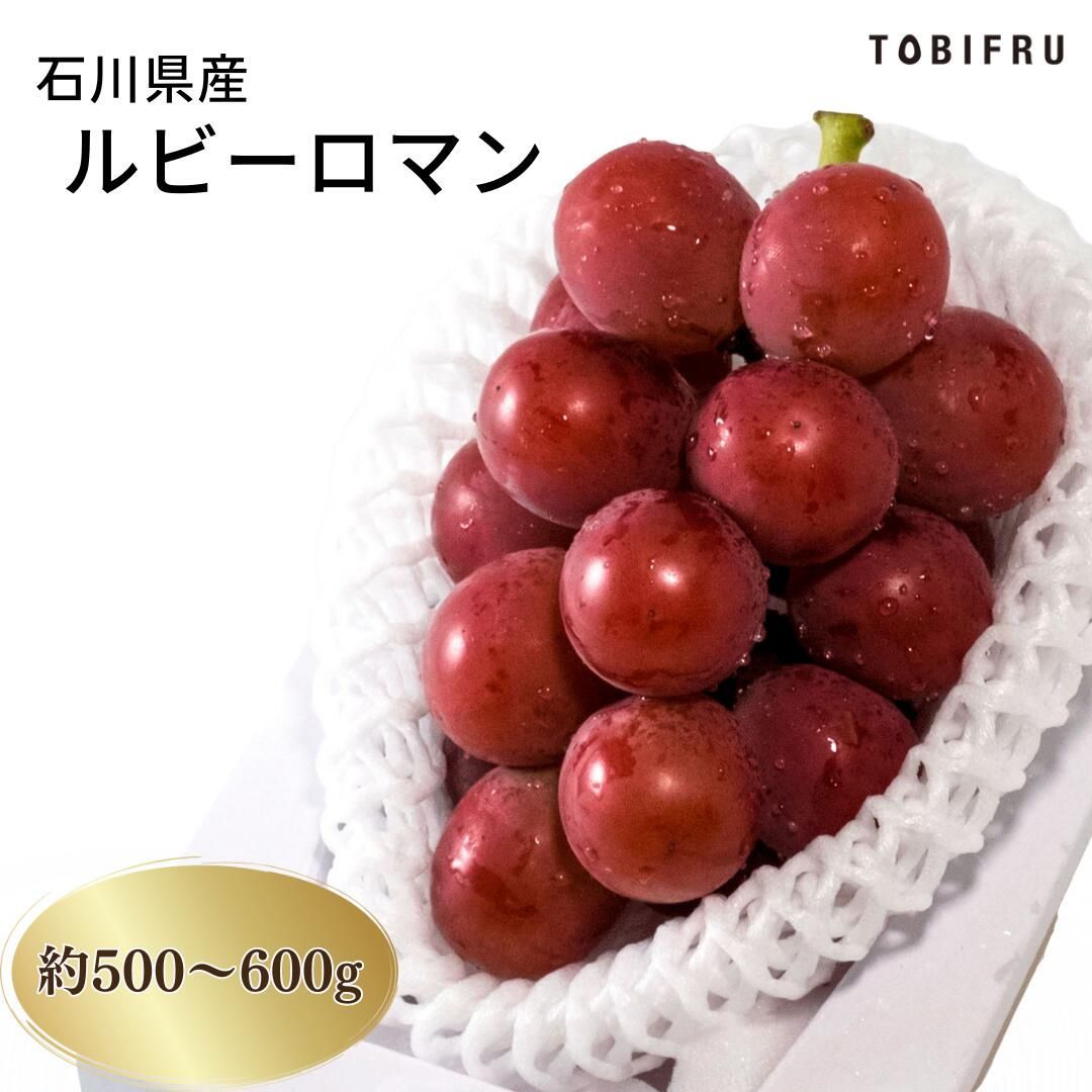 石川県産 ルビーロマン 1房入り (約500g～600g) ※入荷次第順次発送