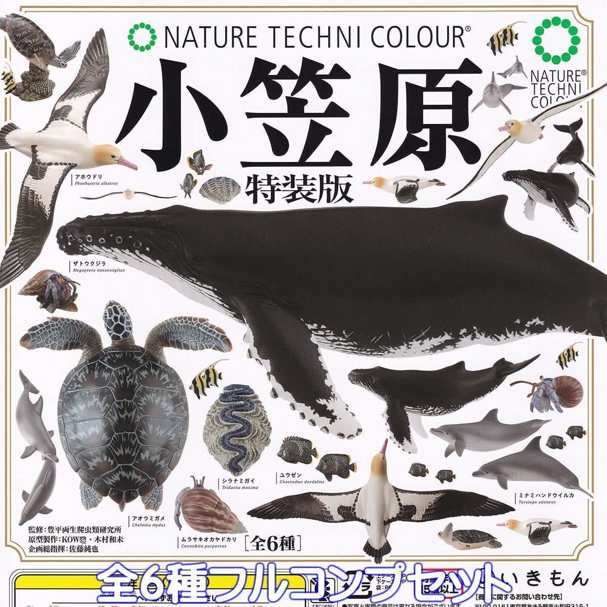 オニオンファイツ 宇宙レスラー消しゴム インゴット&魔道&波動&ソクラテス Amazon.co.jp: オニオンファイツ インゴット 魔道波動