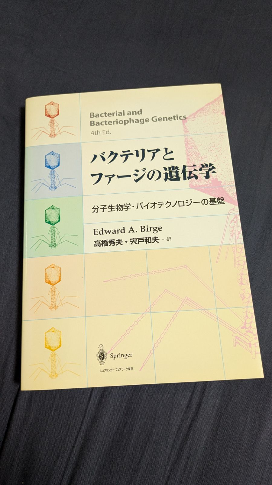 バクテリアとファージの遺伝学: 分子生物学・バイオテクノロジーの基盤