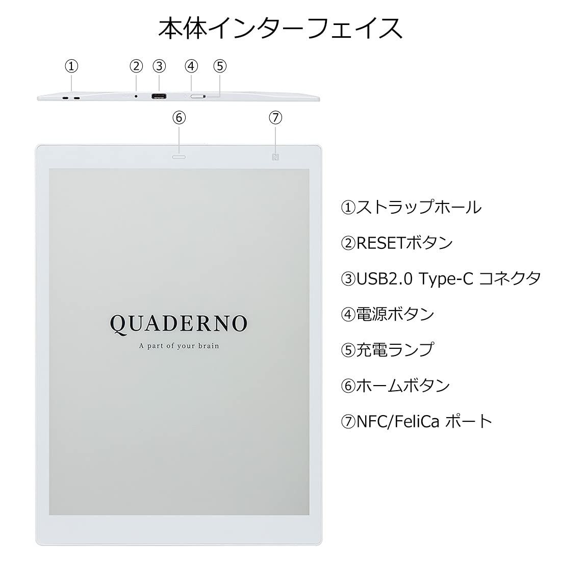 公式】富士通 10.3型フレキシブル電子ペーパー QUADERNO A5