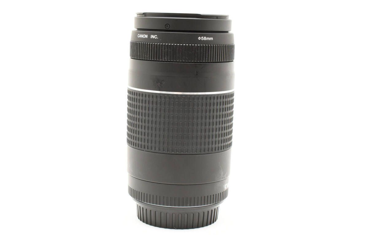 ★キャノン Canon EF 75-300mm F4-5.6 Ⅲ★ K220 #1829