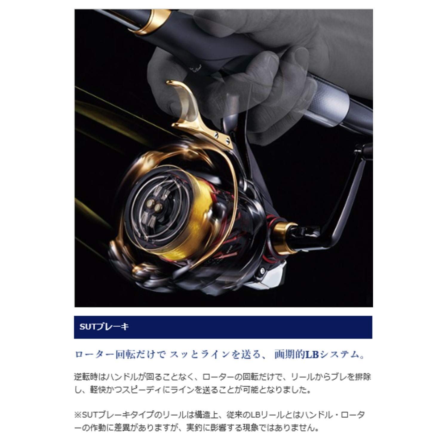 BB-X